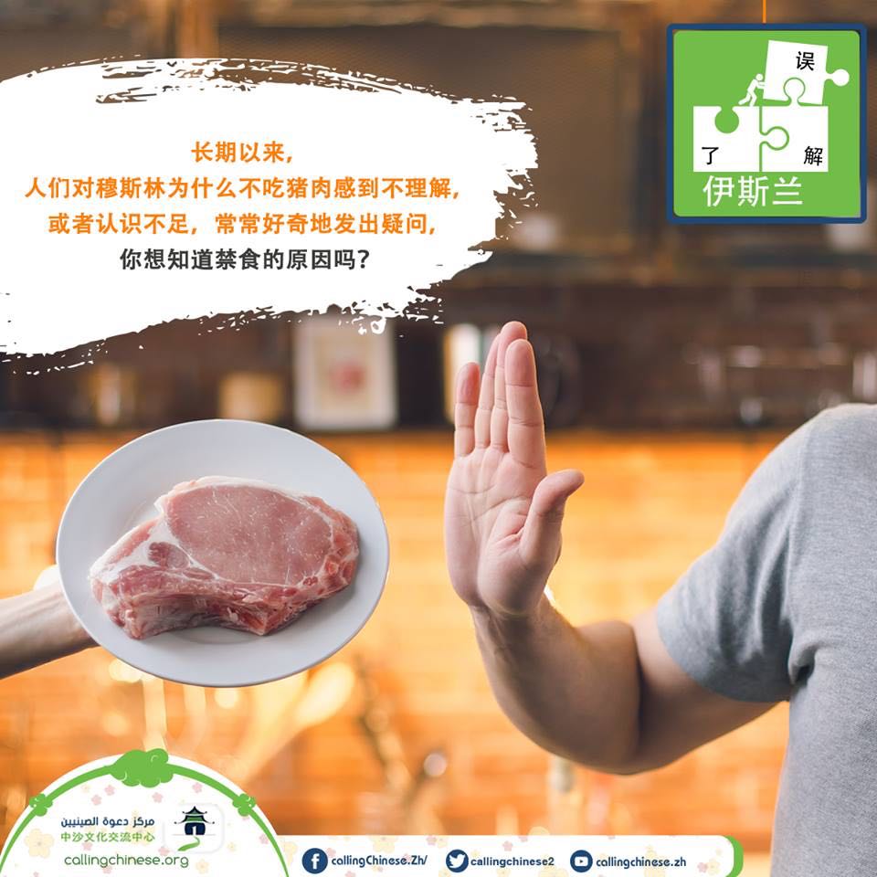 穆斯林为什么不吃猪肉 我们开始对话吧