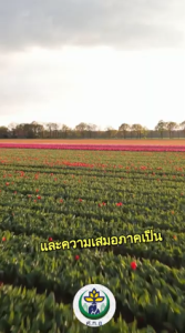 ความยุติธรรมและความเสมอภาคในศาสนาอิสลาม