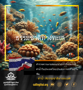ธรรมชาติทางทะเล