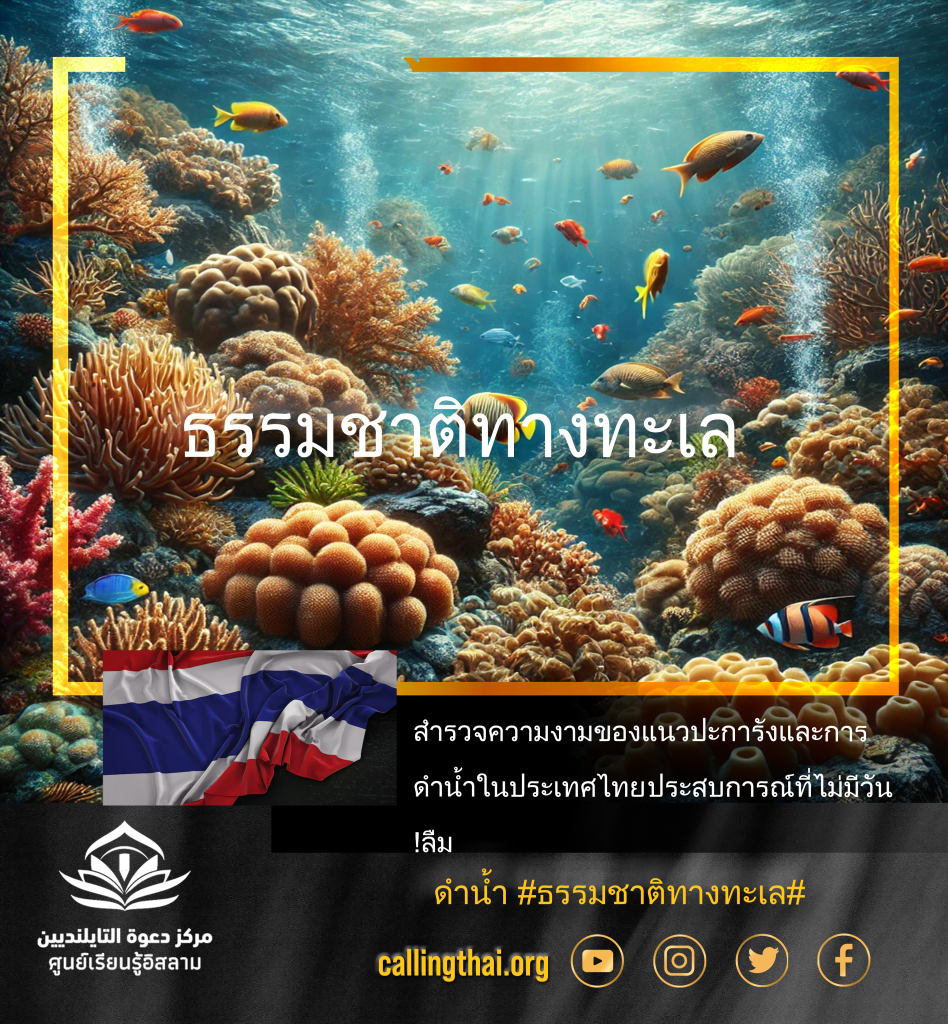 ธรรมชาติทางทะเล