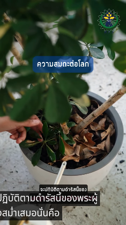 ความสมถะต อโลก