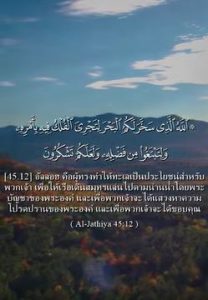 ซูเราะฮ์ อัล ญาฏียะฮ์