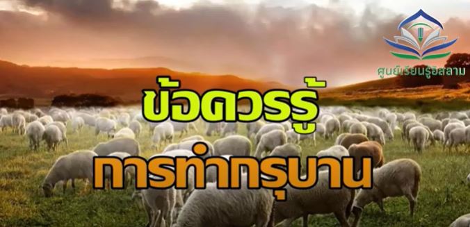 เวลาของการเชือดสัตว์อุฎฮียะฮ์(กุรบาน) และข้อควรปฏิบัติของผู้ที่จะทำอุฎฮียะฮ์(กุรบาน)