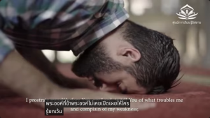 ฉันสวดอธิษฐานและกราบแทบเท้าคุณ