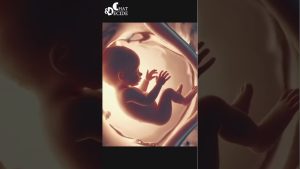 Một Tâm Trí Không Có Đấng Sáng Tạo, Hãy Thử Làm Một Qu