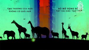 Lòng Nhân Từ của Allah là Vô Tận