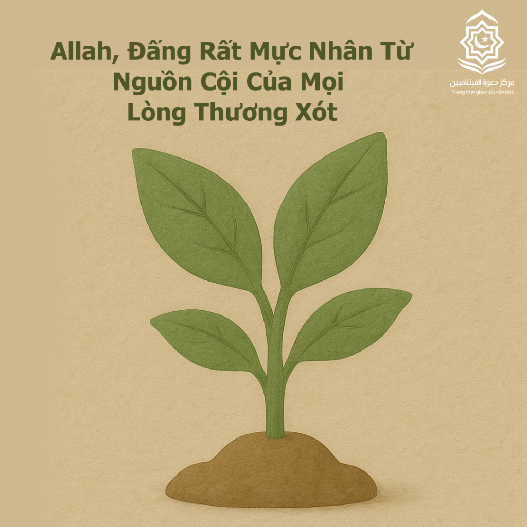 Allah, Đấng Rất Mực Nhân Từ… Nguồn Cội Của Mọi Lòng Thương Xót