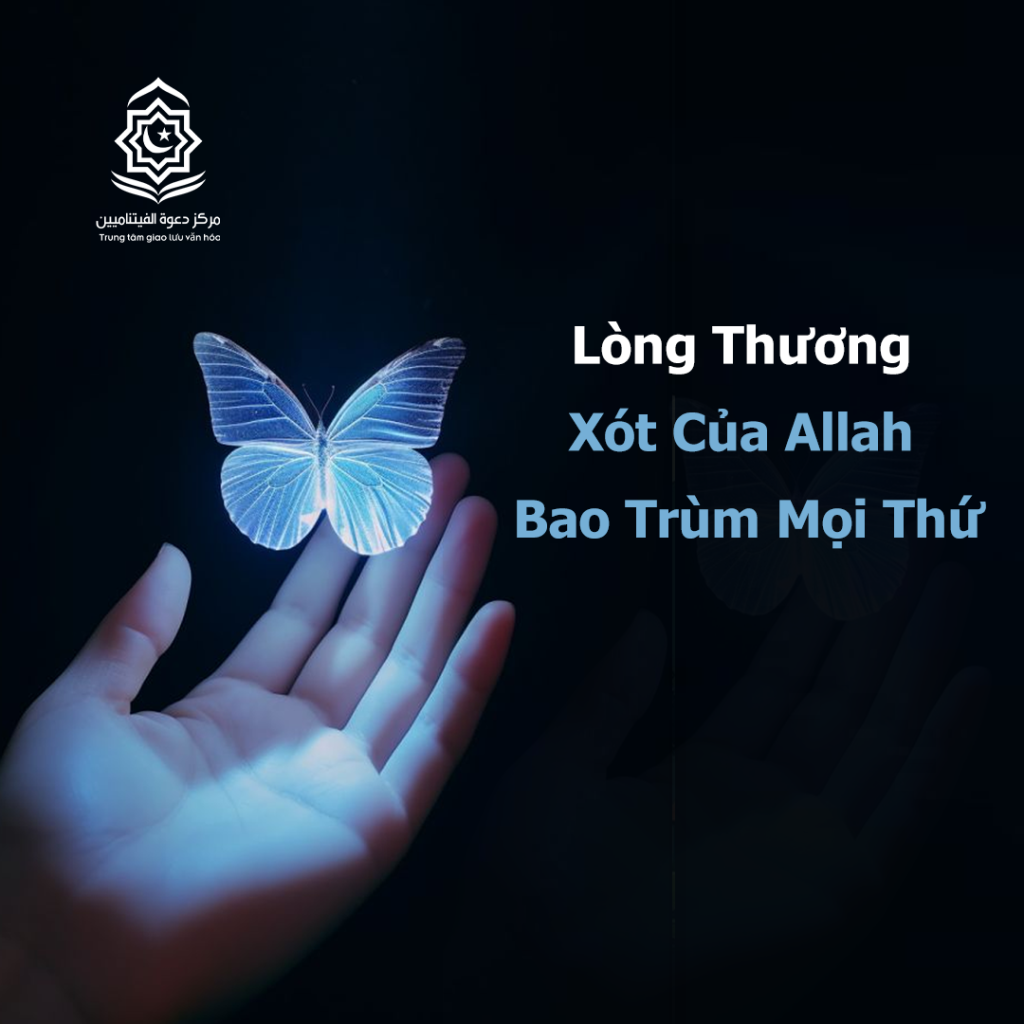 Lòng Thương Xót và Sự Cân Bằng Giữa Sức Mạnh và Sự Dịu Dàng