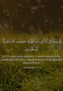 อัลอันอาม 11