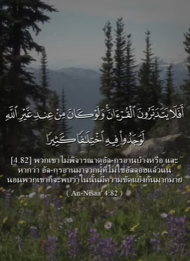 อันนิซาอ์ 82