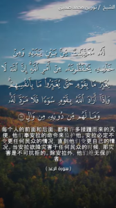 赖尔得 11