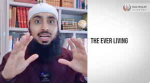 真主的名字 阿哈伊