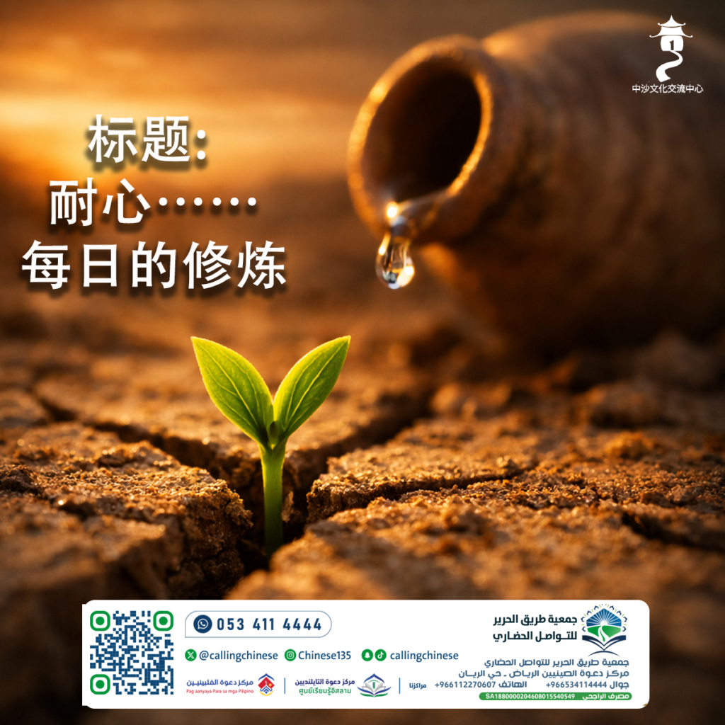 标题: 耐心……每日的修炼