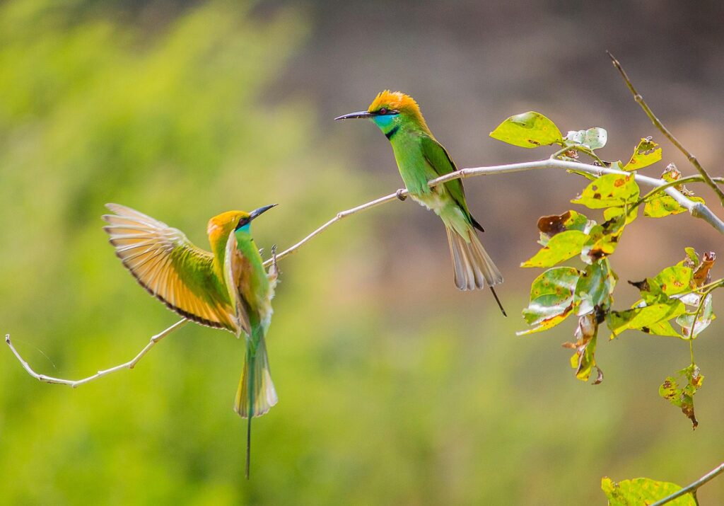 1-Ang konsepto ng pamilya sa Islam )