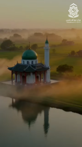 Ảnh hưởng lâu dài