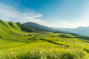Làm thế nào để người Hồi giáo khiến cuộc sống của mình có ý nghĩa?