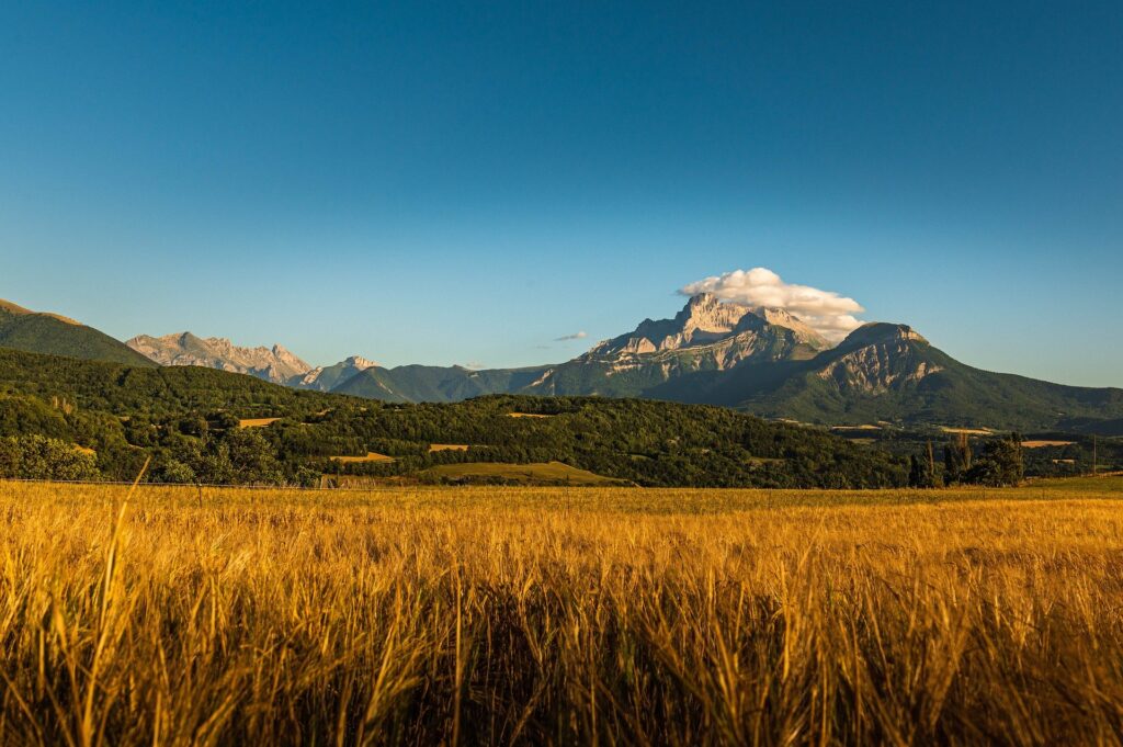 ชาวมุสลิมทำให้ชีวิตของเขามีคุณค่าได้อย่างไร?