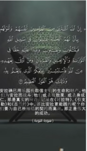 讨白 111