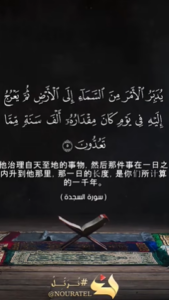 赛直德 5:6