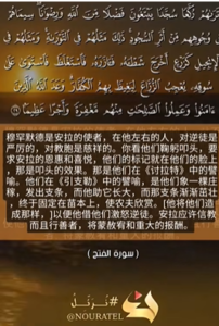 费特哈 29