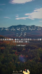 盖德尔 4:5