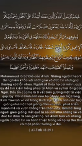 Al-Fath 29