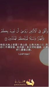 奈哈勒 15:16