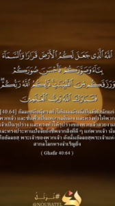 ฆอฟิร 64