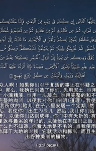 哈知 5