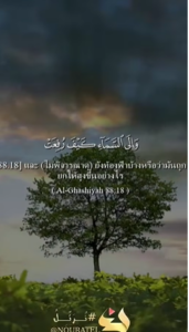 อัลฆอชิยะฮ์ 18_20