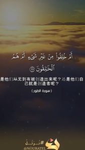 突尔 35