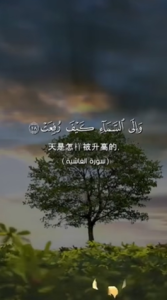 阿史叶 18:20