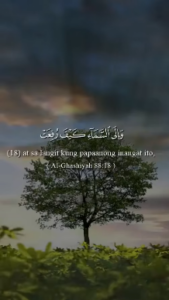 (18-20)Surah Al-Ghashiyah