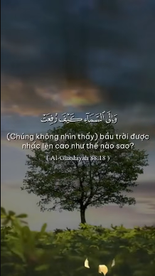 (18-20)Surah Al-Ghashiyah
