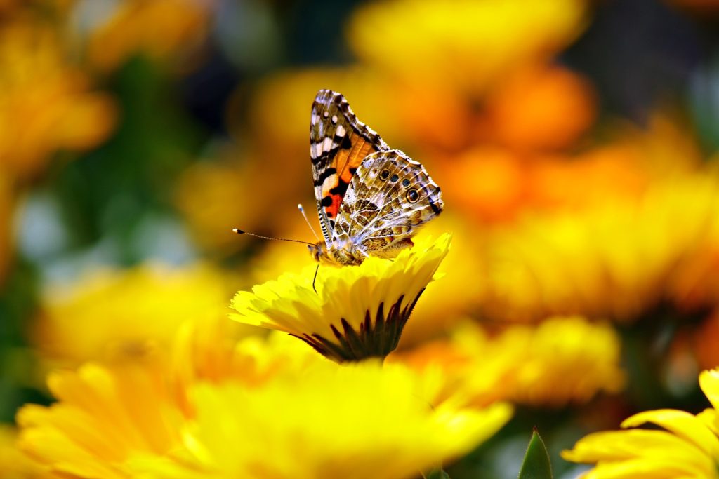 平安不在逃避中 (2/2)