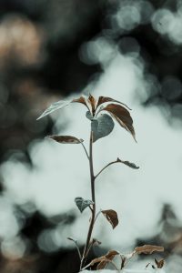 改变，从内心开始- (1/2)