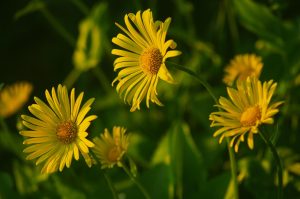 科学能回答一切吗？