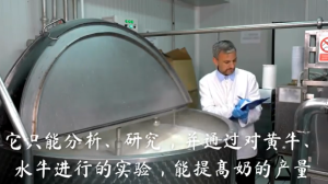 人类真的能制造牛奶吗？