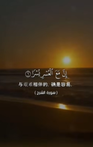 晒尔哈 5:8