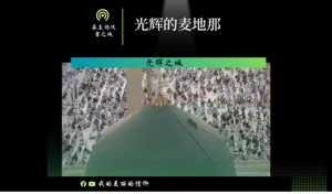 什么是麦地那（麦地那城）？