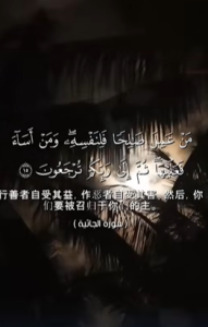 查西叶 15