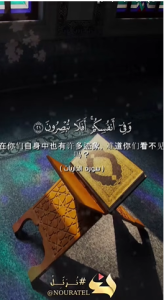 达里雅特 21:23