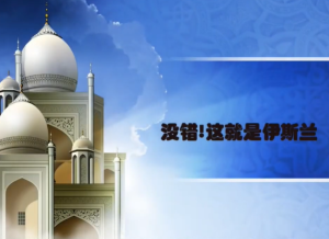 没错！这就是伊斯兰