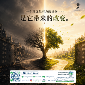 一个理念最有力的证据……是它带来的改变