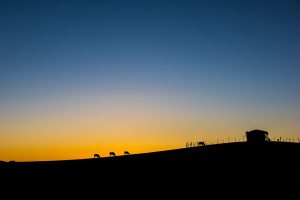 Ang Diyos na Tagapaglikha: Ang Nagdisenyo ng mga Langit at Lupa