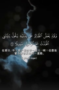 弗尔干 27:29