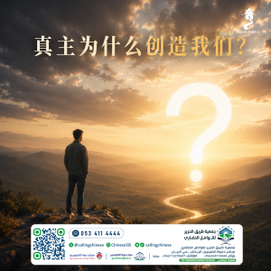 真主为什么创造我们？