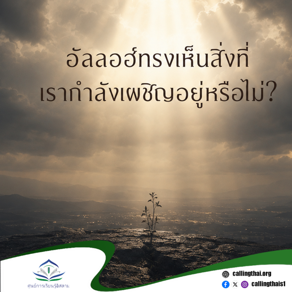 อัลลอฮ์ทรงเห็นสิ่งที่เรากำลังเผชิญอยู่หรือไม่?
