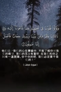 奉绥来特 5