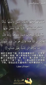 阿黎仪姆兰 37